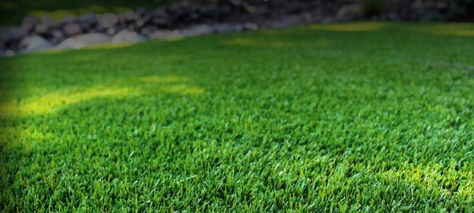 Synthetic grass Gold Coast