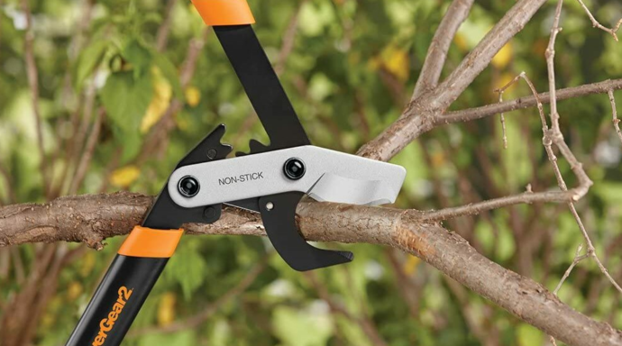 Gold Coast tree loppers