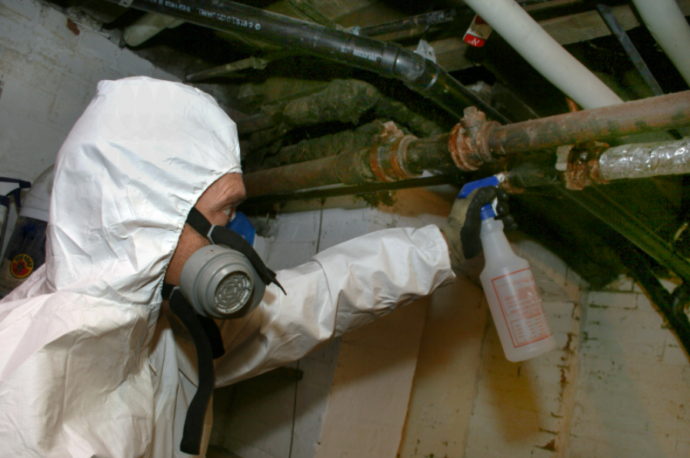 asbestos removal costs