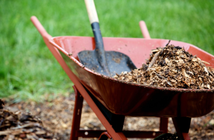 Mulch in Gold Coast