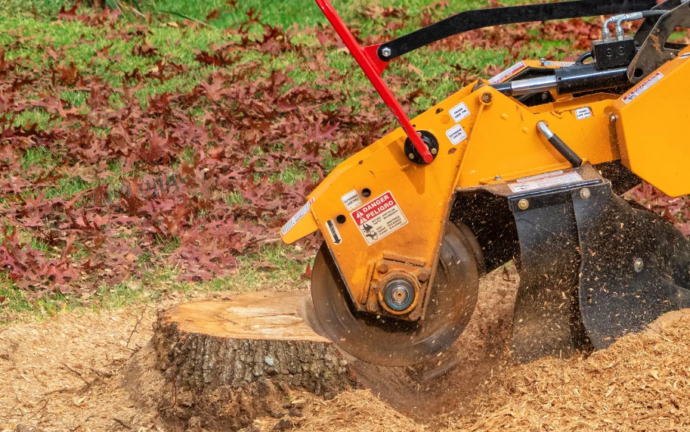 stump grinding on the Gold Coast