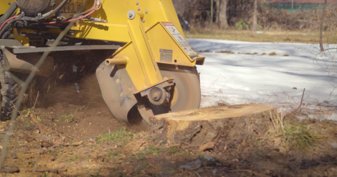 Stump grinding in Gold Coast