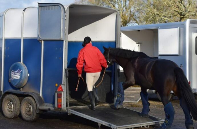 horse trailer finance Gold Coast