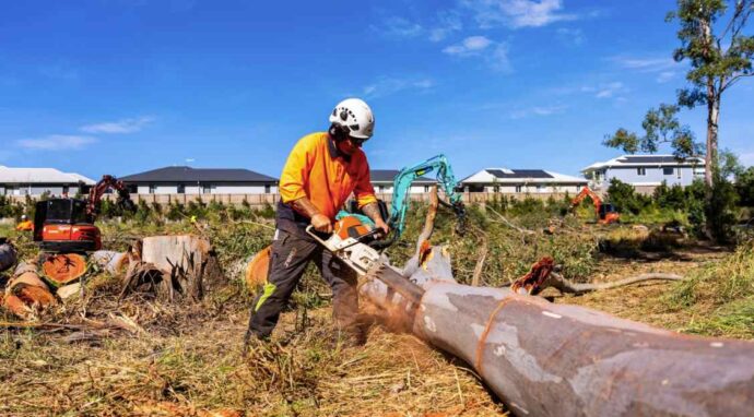 Gold Coast stump grinding